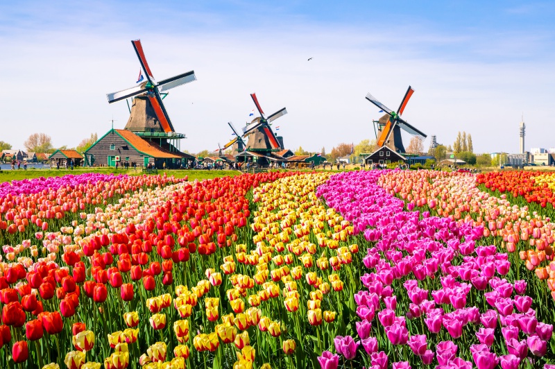 Netherland