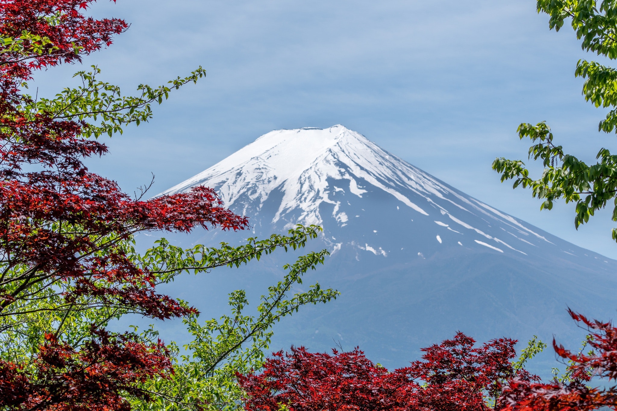 mt fuji 248195